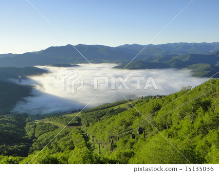 Tomamu Tomamu 15135036