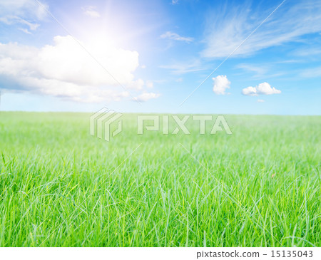 Green grass field under midday sun on blue sky. 15135043