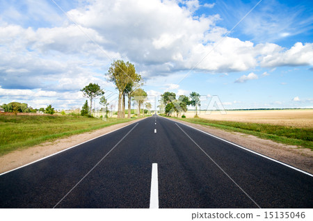 Asphalt road in green meadow 15135046