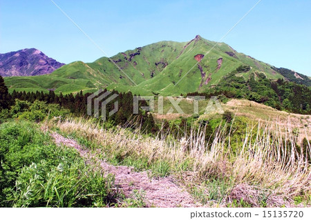 Spring noodle mountains 15135720