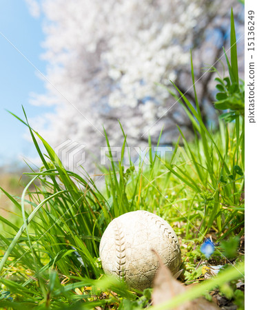 Spring one scene Spring one scene 15136249