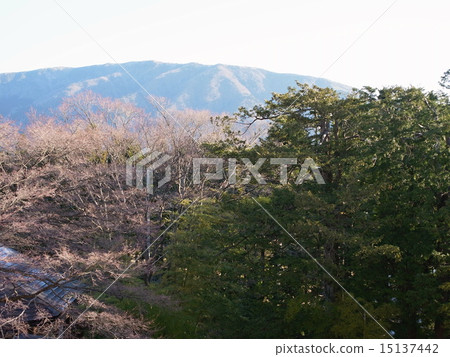 Hakone Outer Ring Mountain Hakone Outer Ring Mountain 15137442