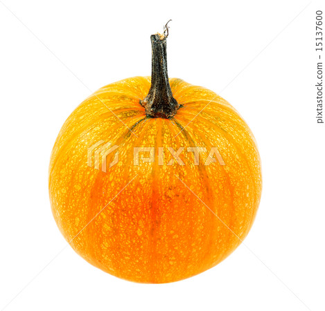 Pumpkin fruits isolated on a white background. 15137600