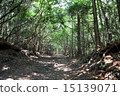 Through the mountain road 15139071