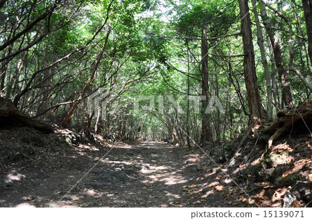 Through the mountain road 15139071