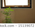 Small window with green 15139072
