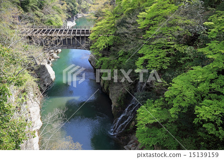 查看從Saruhashi·瀑布呈現 15139159