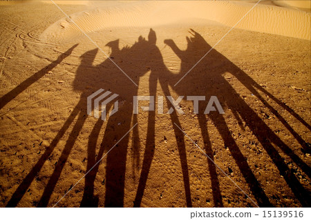 sahara's desert 15139516