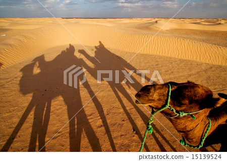 sunrise in the sahara's desert sunrise in the sahara's desert 15139524
