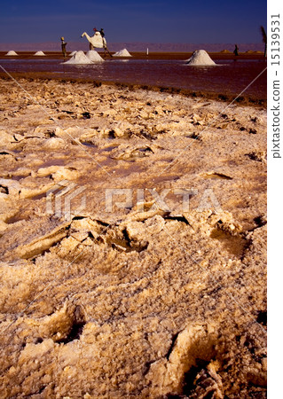 tunisia,chott el jerid 15139531