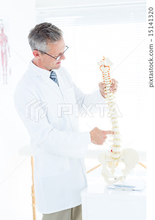 Doctor showing anatomical spine Doctor showing anatomical spine 15141320
