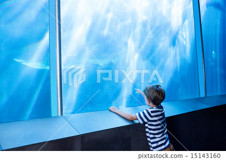 Young man pointing a shark with his finger 15143160