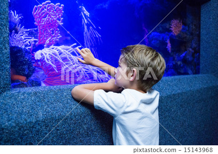 Young man touching an algae tank Young man touching an algae tank 15143968
