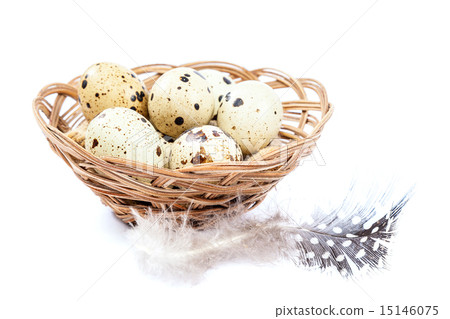 Quail eggs in a basket on white background. Quail eggs in a basket on white background. 15146075