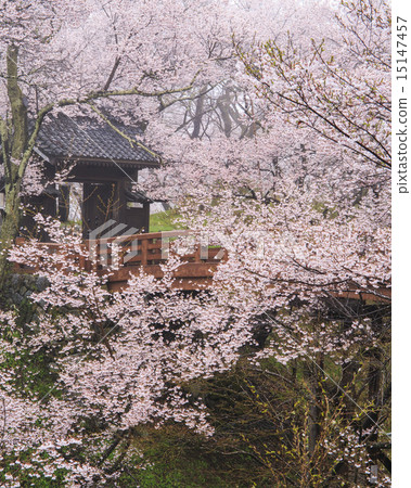 Takato Castle Ruins Park 15147457