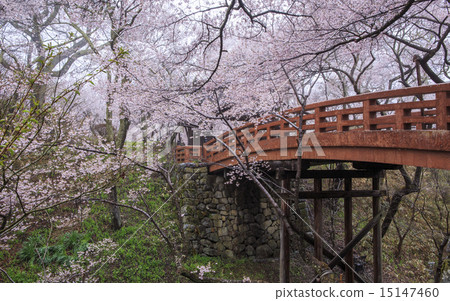 高田城遺址公園 15147460