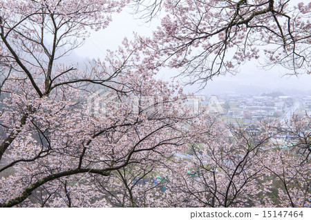 高田城遺址公園 15147464
