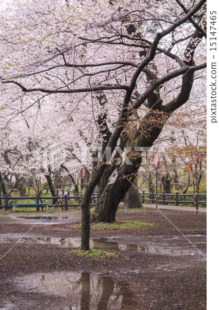 Takato Castle Ruins Park 15147465