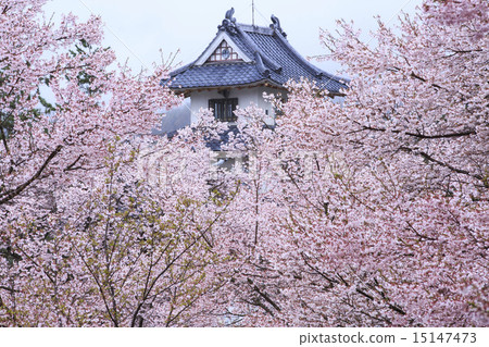 高田城遺址公園 高田城遺址公園 15147473