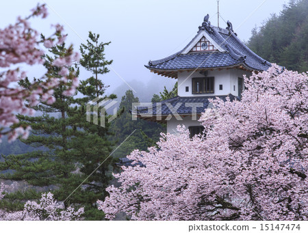 Takato Castle Ruins Park Takato Castle Ruins Park 15147474