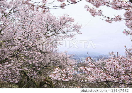 Takato Castle Ruins Park 15147482