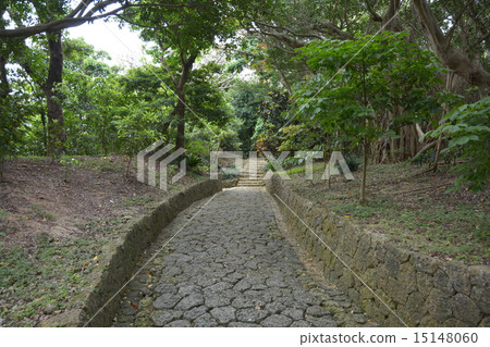 沖繩世界遺產鑑定公園 15148060