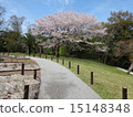 神道藝術博物館花園 15148348