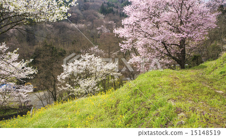 羅鎮的山倉 15148519