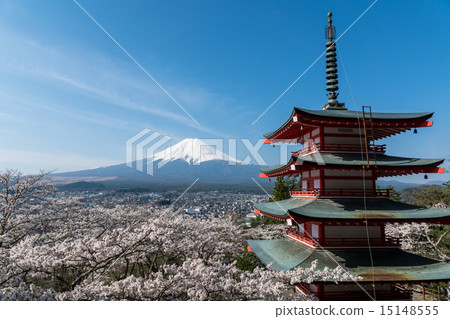Shinagurayama Asama Park Tadamitsu Tower and Sakura and Mt. Fuji Shinagurayama Asama Park Tadamitsu Tower and Sakura and Mt. Fuji 15148555