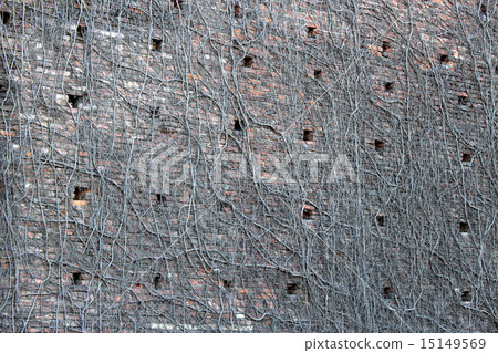Wall of Sforzesco castle 15149569