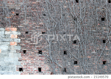 Wall of Sforzesco castle 15149570