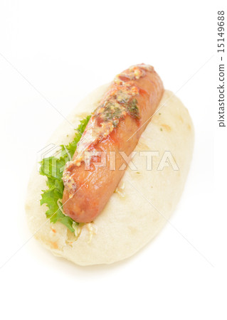 Delicious Hot Dog 15149688