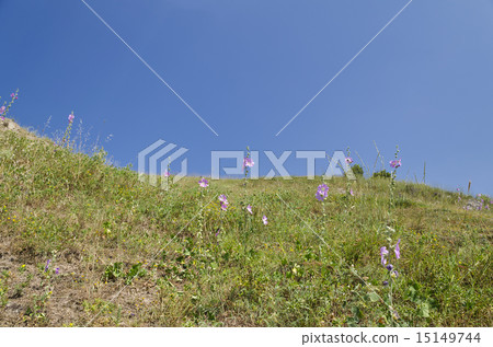 Sunny Blue Sky, Meadow and hills near Sinemorets 15149744