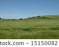 Landscape of local cities in Denmark 15150082