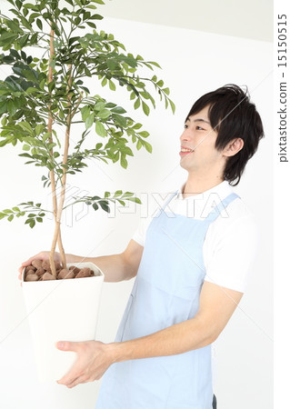 男子攜帶種植樹木 男子攜帶種植樹木 15150515