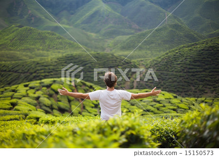 freedom  man in mountains 15150573