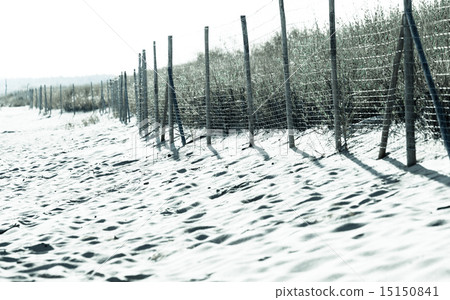 Sandy beach in summer and grassy dunes with fence Sandy beach in summer and grassy dunes with fence 15150841