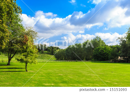 Countryside view of green field. Nature landscape 15151093