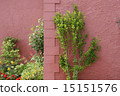 A house with planting in Denmark 15151576
