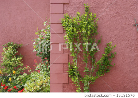 A house with planting in Denmark 15151576