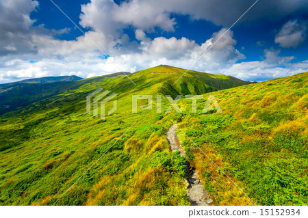Carpatian summer landscape. 15152934