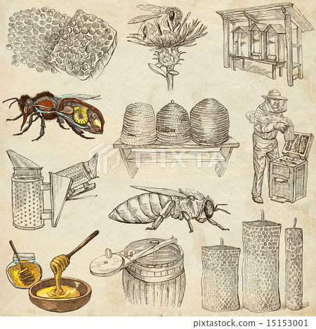 bees, beekeeping, honey - hand drawn illustrations 15153001