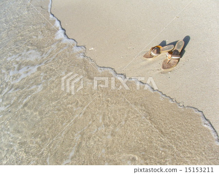Sea	 15153211