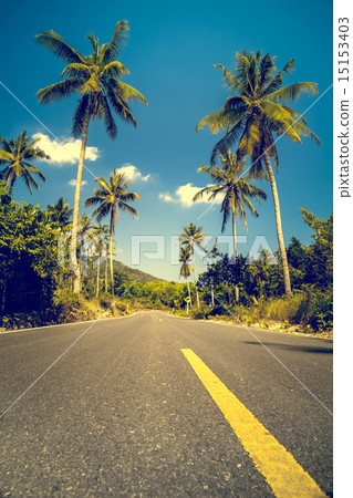 Nice asfalt road with palm trees 15153403