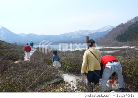 青山的山 15154512
