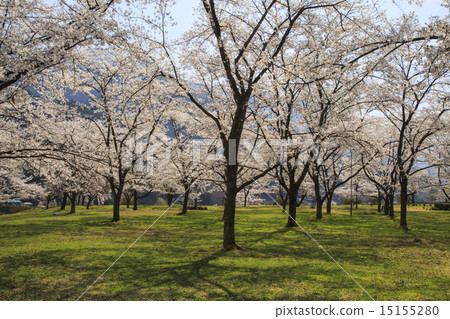Onishi Park Onishi Park 15155280