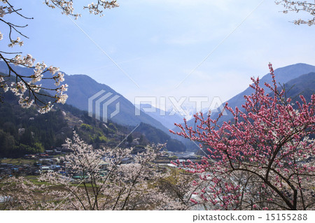Onishi Park 15155288
