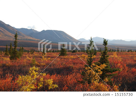 迪納利國家公園在秋天 15155730