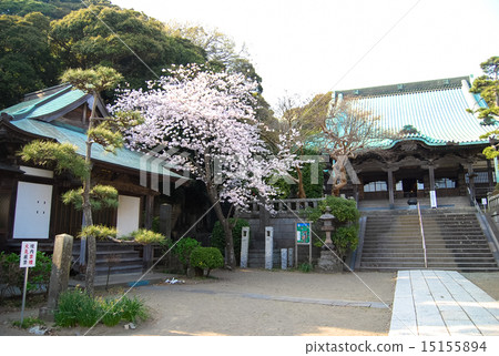 Longgu Temple 15155894