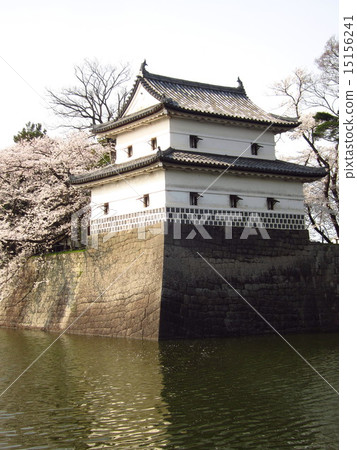 Shibata城堡的春天 Shibata城堡的春天 15156241